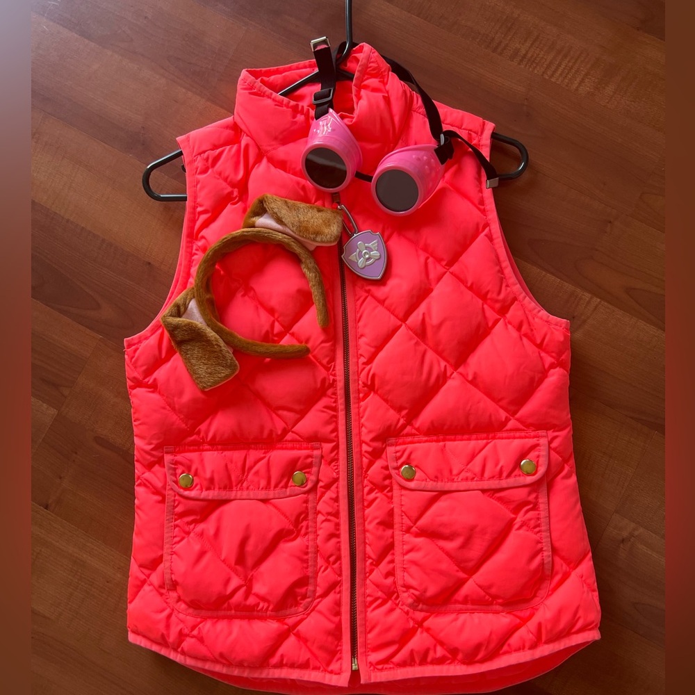 DIY Paw Patrol Sky Costume